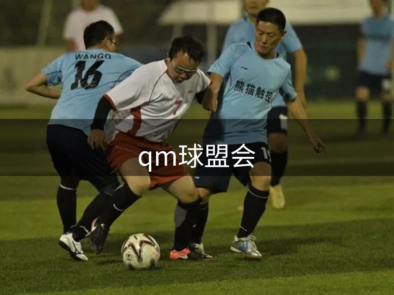 走进qm球盟会